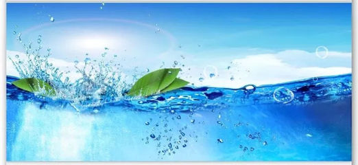 選購桶裝水需擦亮眼睛 從桶身材質到水質安全的全方位指南