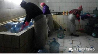 桶裝水內(nèi)幕曝光 重復(fù)回收桶與一次性濾芯，哪個更安全？