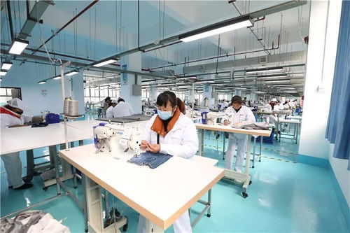 玉屏經開區 防疫生產兩手抓，網站建設助力企業穩步發展